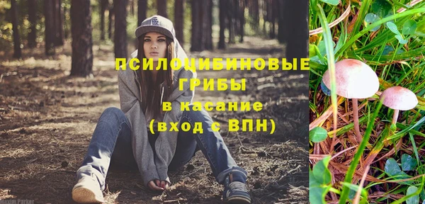 прущий лед Бежецк